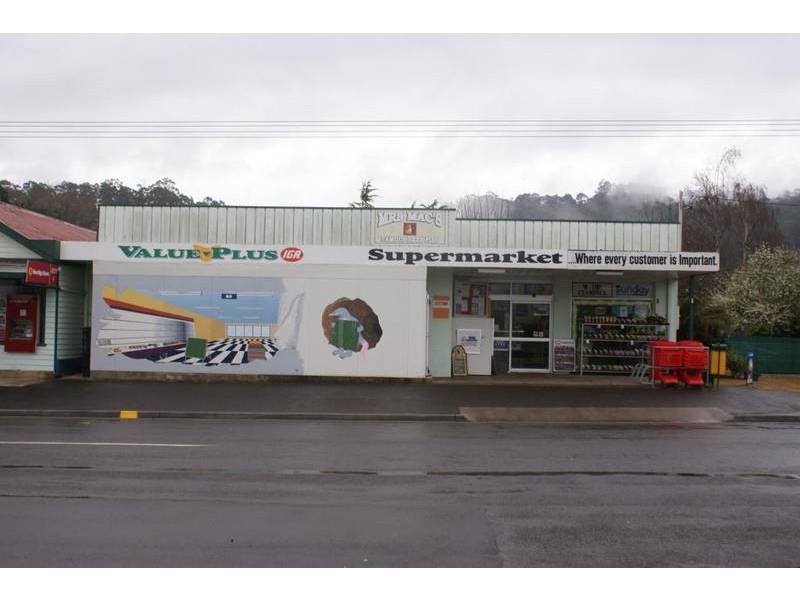 44 Pioneer Drive, Mole Creek TAS 7304