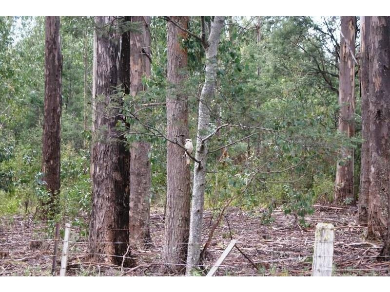 12624 Highland Lakes Road, Golden Valley TAS 7304