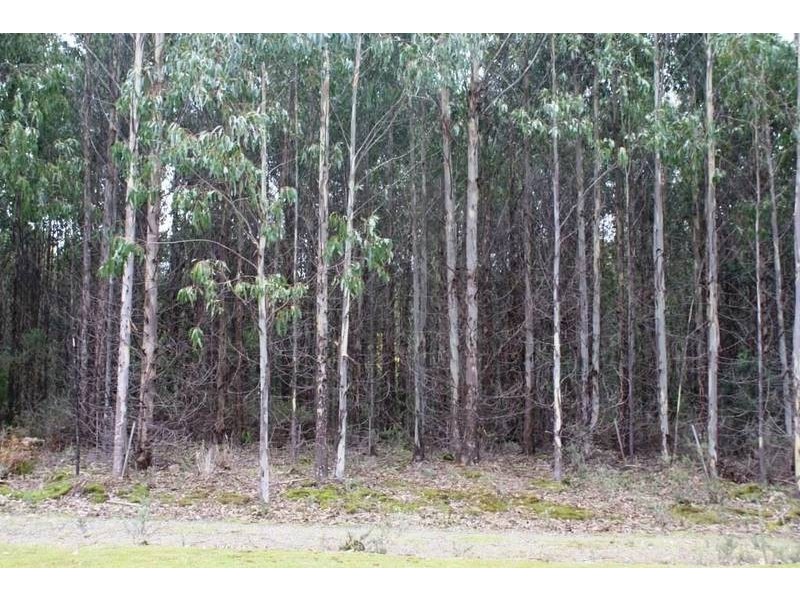 12624 Highland Lakes Road, Golden Valley TAS 7304