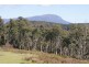 173 Hawleys Road, Weegena TAS 7304