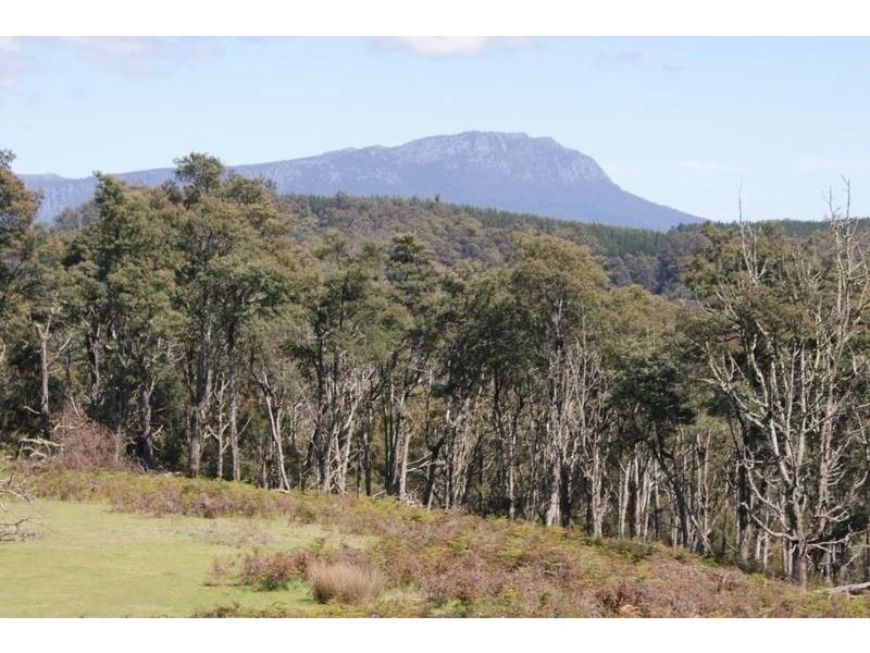 173 Hawleys Road, Weegena TAS 7304