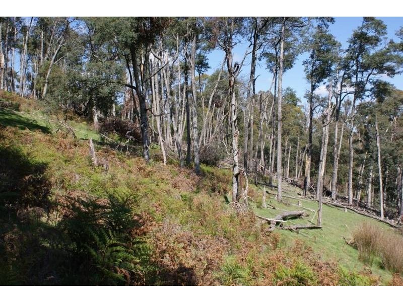 173 Hawley’s Road (R), Weegena TAS 7304