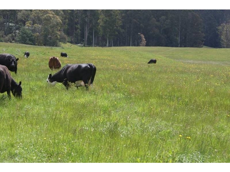 5 Mersey Forest road, Liena TAS 7304