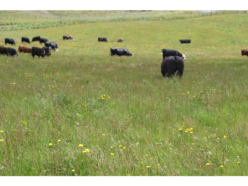 5 Mersey Forest road, Liena TAS 7304