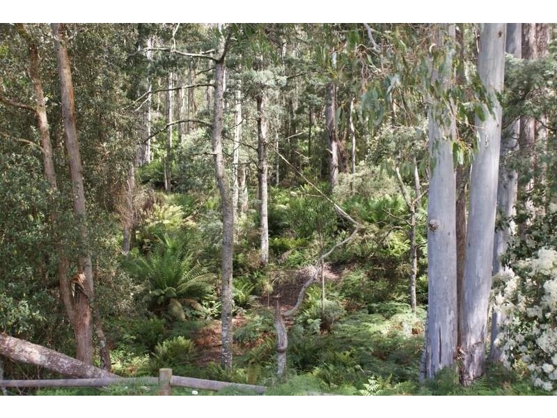 5 Mersey Forest road, Liena TAS 7304