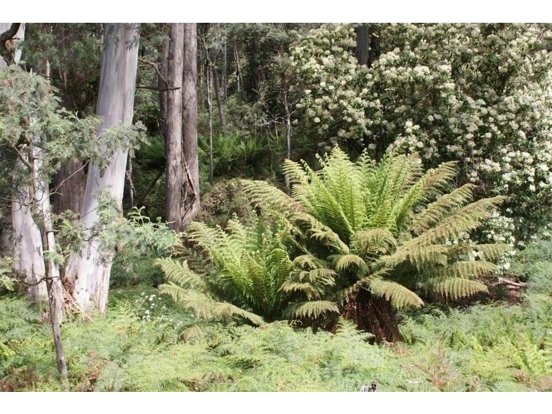 5 Mersey Forest Road, Liena TAS 7304