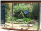 115 Fernleigh Road, Caveside TAS 7304
