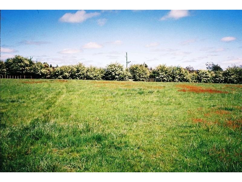 127 Mary, Westbury TAS 7303