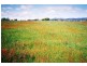 127 Mary, Westbury TAS 7303