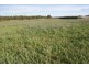 174 Bengeo Road, Deloraine TAS 7304