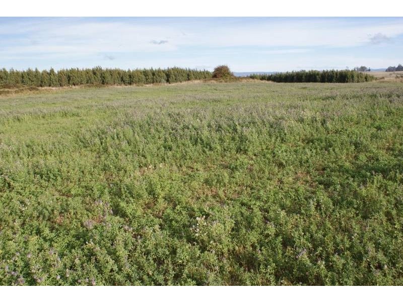174 Bengeo Road, Deloraine TAS 7304