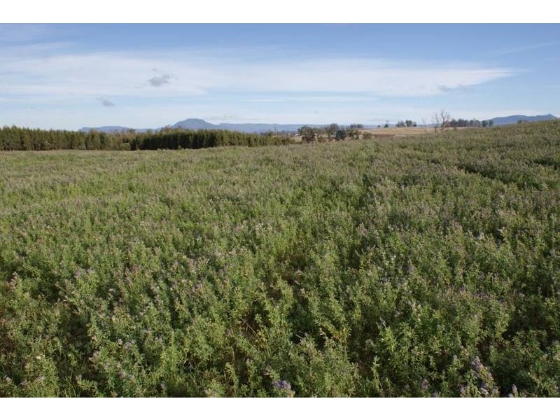 174 Bengeo Road, Deloraine TAS 7304