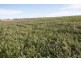 174 Bengeo Road, Deloraine TAS 7304