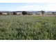 174 Bengeo Road, Deloraine TAS 7304