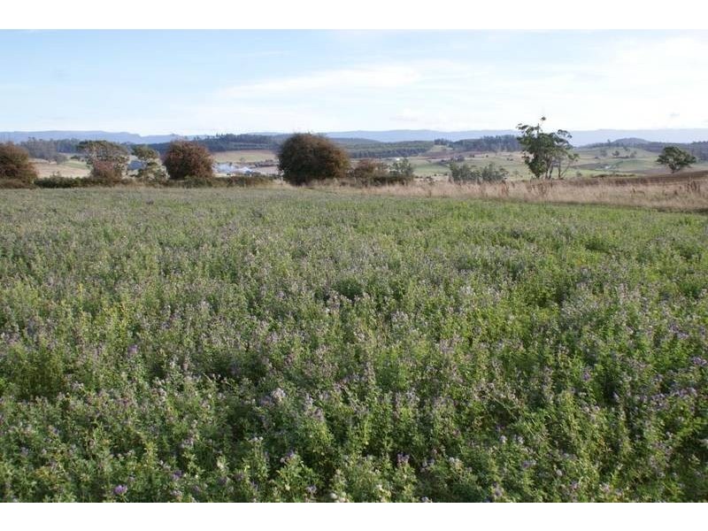 174 Bengeo Road, Deloraine TAS 7304