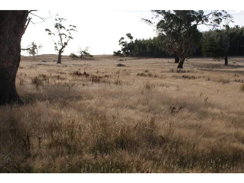 174 Bengeo Road, Deloraine TAS 7304
