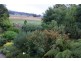 55 Sandy Lane, Meander TAS 7304