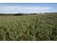 174 Bengeo Road, Deloraine TAS 7304