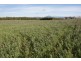 174 Bengeo Road, Deloraine TAS 7304