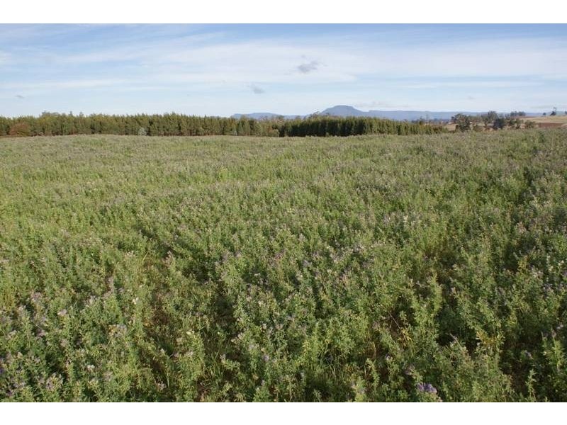 174 Bengeo Road, Deloraine TAS 7304