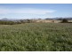 174 Bengeo Road, Deloraine TAS 7304