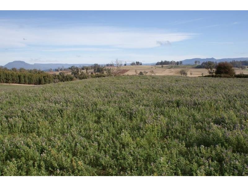 174 Bengeo Road, Deloraine TAS 7304