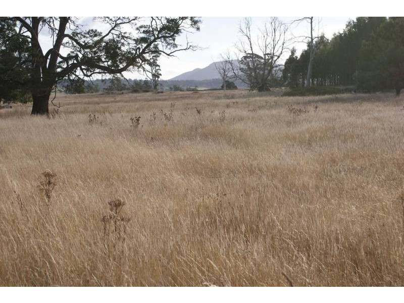 174 Bengeo Road, Deloraine TAS 7304