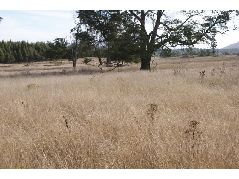 174 Bengeo Road, Deloraine TAS 7304