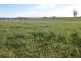 174 Bengeo Road, Deloraine TAS 7304