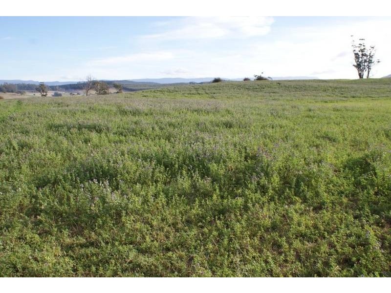 174 Bengeo Road, Deloraine TAS 7304