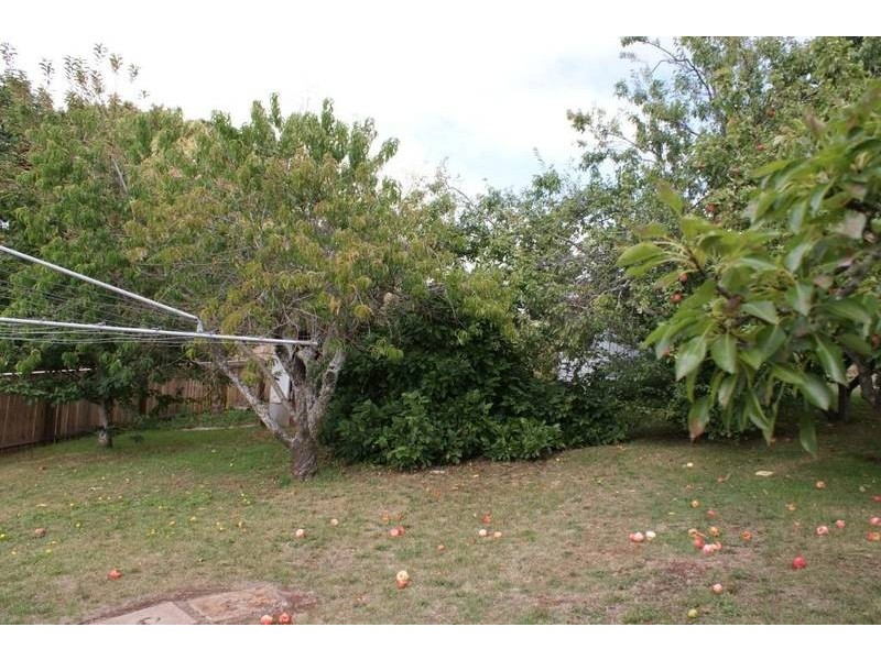 16 West Barrack Street, Deloraine TAS 7304