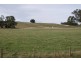 5284 Bass Highway, Deloraine TAS 7304