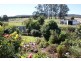 5284 Bass Highway, Deloraine TAS 7304