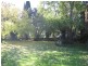 54 William Street, Westbury TAS 7303