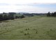 170 Stewarts Road, Winkleigh TAS 7275