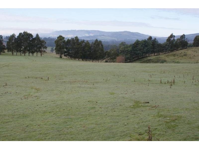 170 Stewarts Road, Winkleigh TAS 7275