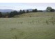 170 Stewarts Road, Winkleigh TAS 7275