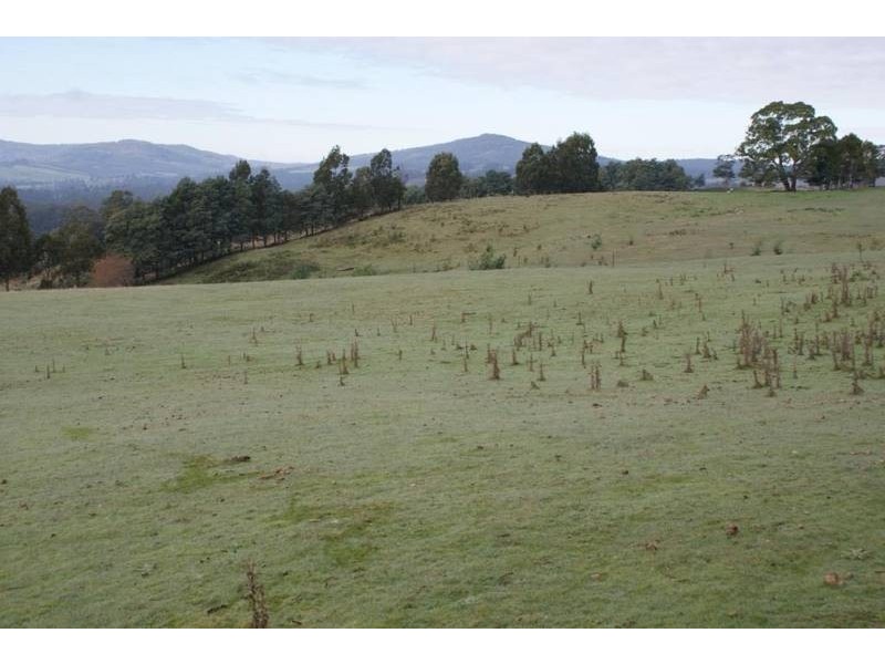 170 Stewarts Road, Winkleigh TAS 7275