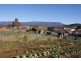21 Caveside Road, Mole Creek TAS 7304