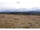 Kelly’s Cage Road, Weegena TAS 7304