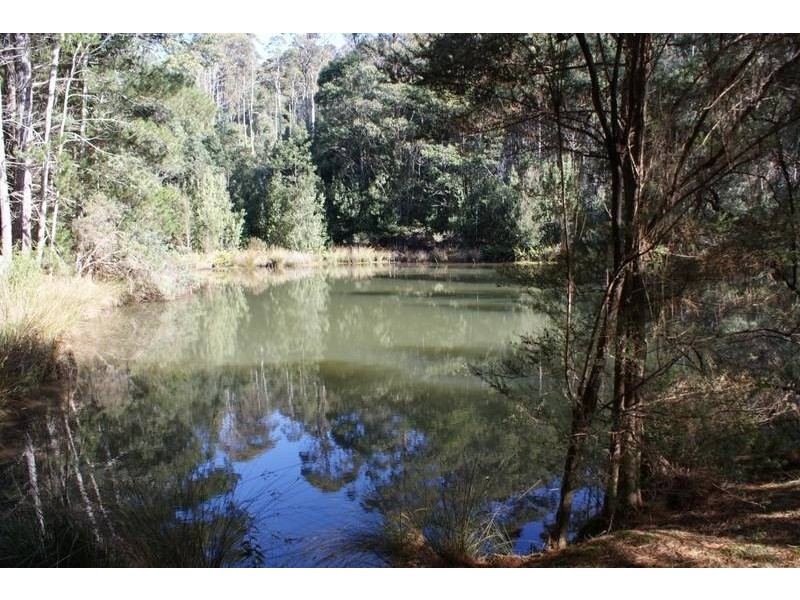 13101 Highland Lakes Road, Golden Valley TAS 7304