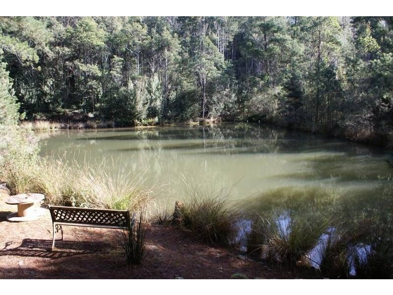 13101 Highland Lakes Road, Golden Valley TAS 7304