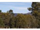 1401 Bogan Road, Golden Valley TAS 7304