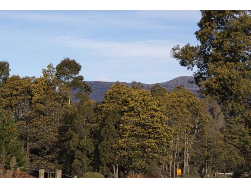 1401 Bogan Road, Golden Valley TAS 7304