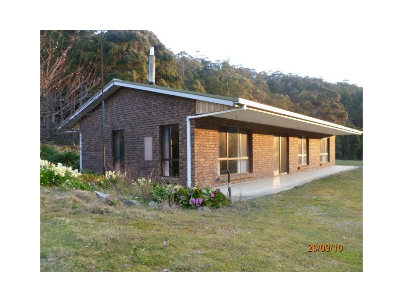 515 Liena Road, Mole Creek TAS 7304