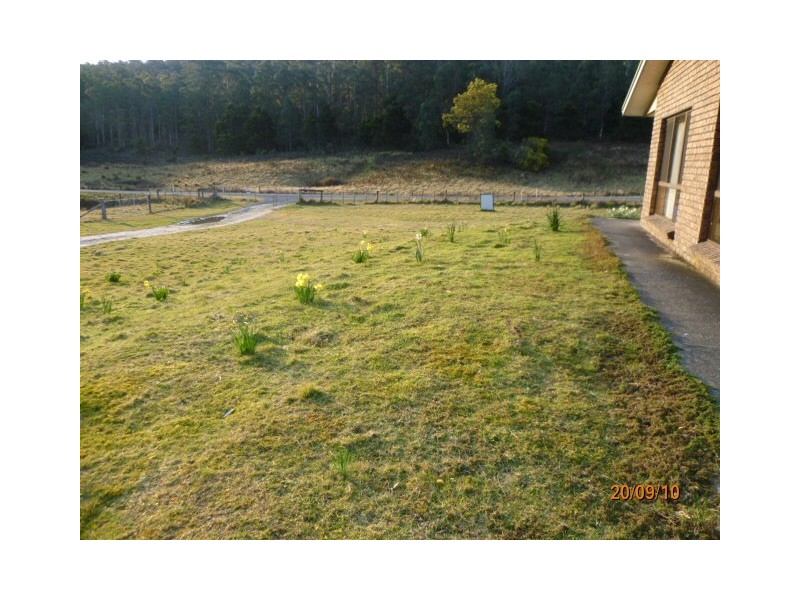 515 Liena Road, Mole Creek TAS 7304