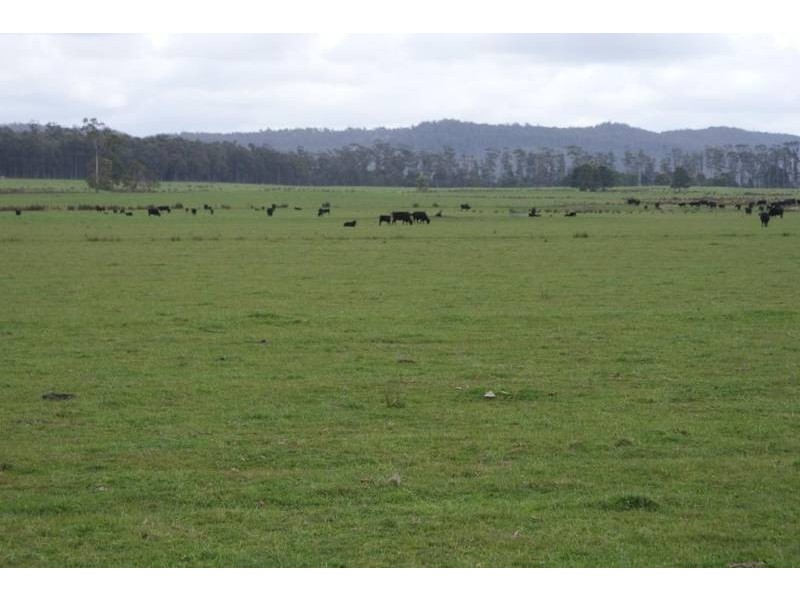 . Avenue Road, Elizabeth Town TAS 7304