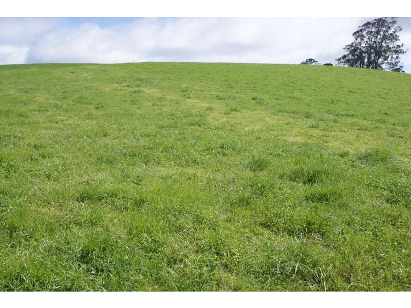 5093 Bass Highway, Deloraine TAS 7304