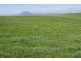 5093 Bass Highway, Deloraine TAS 7304