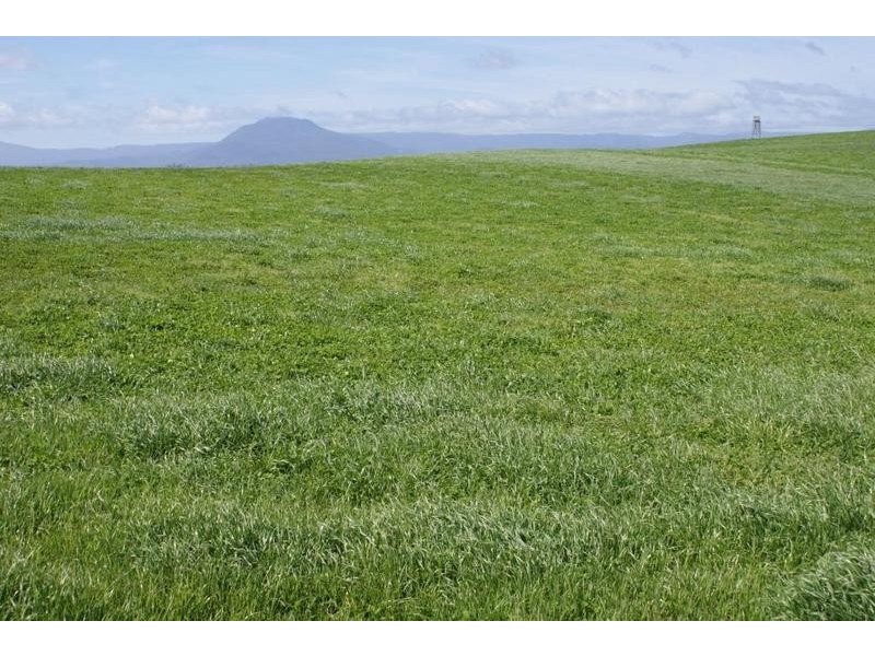 5093 Bass Highway, Deloraine TAS 7304